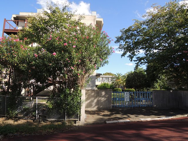 Junior high school. 382m until the Sakai Municipal Miharadai junior high school (junior high school)