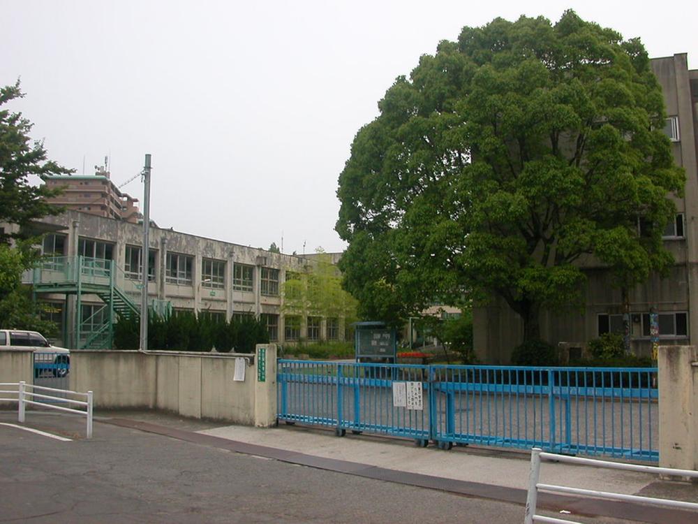 Junior high school. Sakaishiritsu Wakamatsudai until junior high school 450m