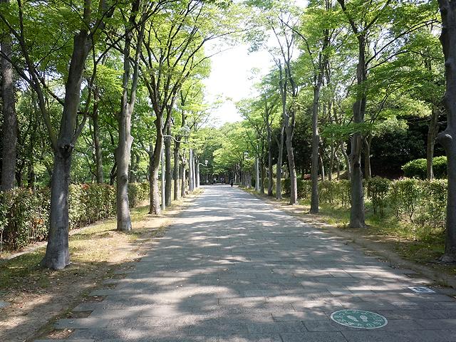 park. 240m to Nishihara park