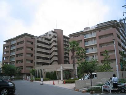 Local appearance photo. Local (December 2013 shooting)