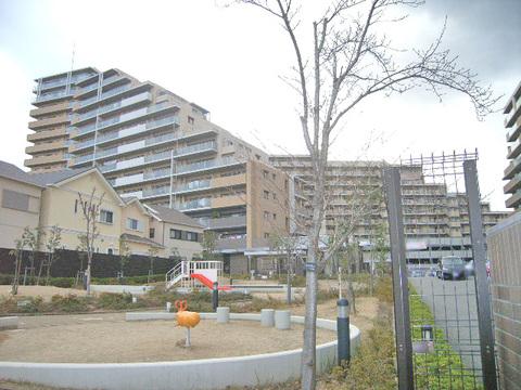 Local appearance photo. Local (12 May 2013) Shooting