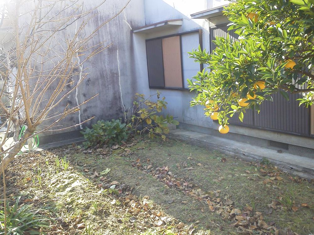 Garden. Since the very large garden, Also good to be used for your hobby, It is also good to play with your dog or cat ☆ 