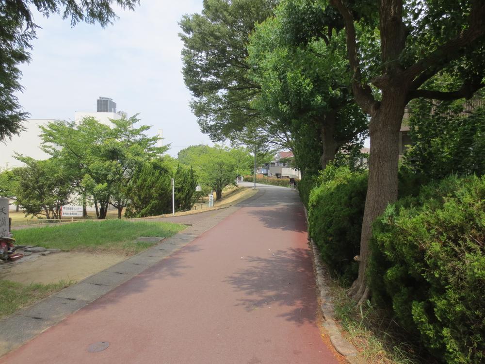 Other. Park'm this forest road ☆ It is ideal for running ☆