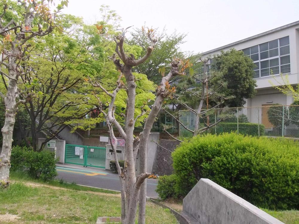 Primary school. Senboku Takakura to elementary school 170m