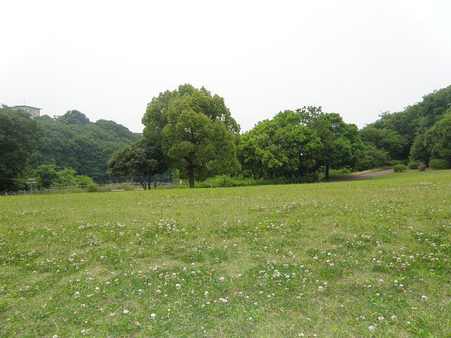 park. 80m to Daihasu park (park)