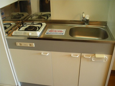 Kitchen. Gas stove with kitchen