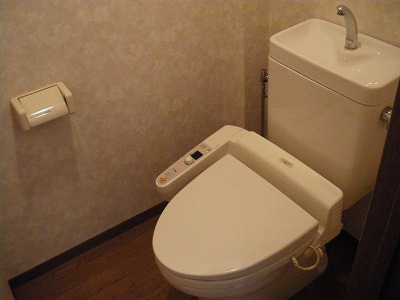 Toilet. Toilet (with washlet)