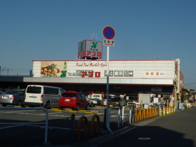 Supermarket. Food Pavilion Appro Sakaisui pond store up to (super) 453m
