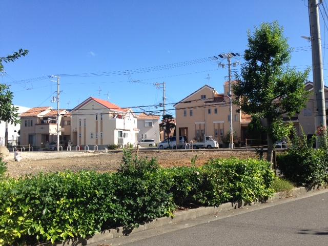 Local photos, including front road. Field landscape