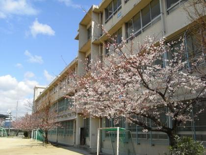 Primary school. Sakaishiritsu deep 800m up to elementary school
