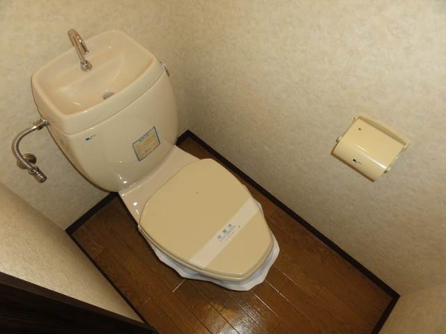 Toilet. Toilet