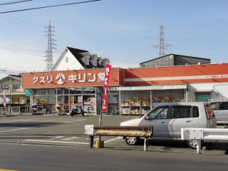 Dorakkusutoa. Kirindo Sakai Horikami shop 304m until (drugstore)