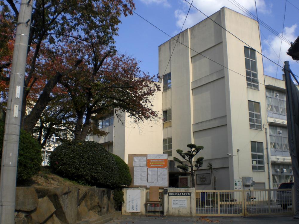 Junior high school. Sakai Tatsuhigashi Mozu until junior high school 1400m