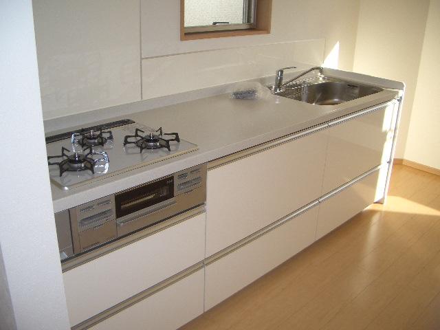 Kitchen. Indoor (11 May 2013) Shooting