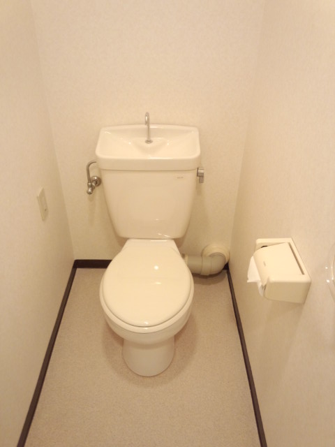 Other. Toilet