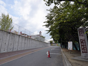 kindergarten ・ Nursery. 1840m to the actual garden nursery of pine