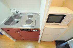 Kitchen. Adopt a two-burner electric stove
