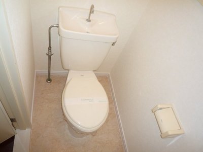 Toilet. It is always comfortable! 