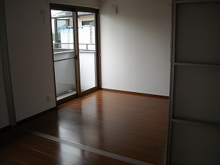 Living and room. Western-style (flooring)