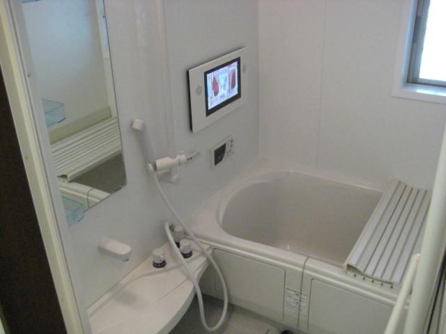 Bathroom. TV with