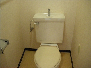 Toilet. Toilet