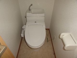 Toilet. Washlet (new)