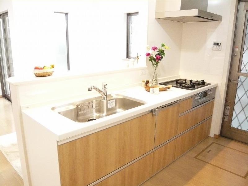 Kitchen. It is a clean kitchen with a dishwasher.  Garbage soup also convenient even with back door