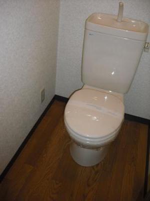 Other. Toilet