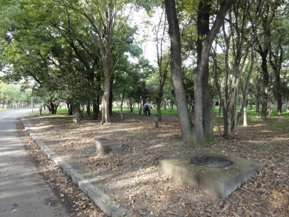 park. 692m until Sakai No. 55-05 public green space (park)