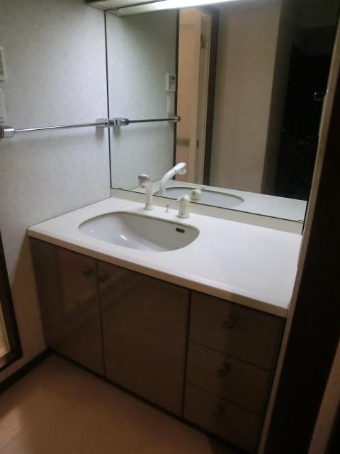 Wash basin, toilet. Very large basin space.