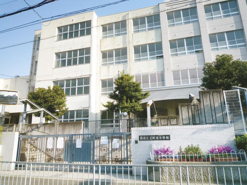 Primary school. Sakaishiritsu Uenoshiba until elementary school 773m