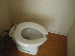 Toilet. Toilet