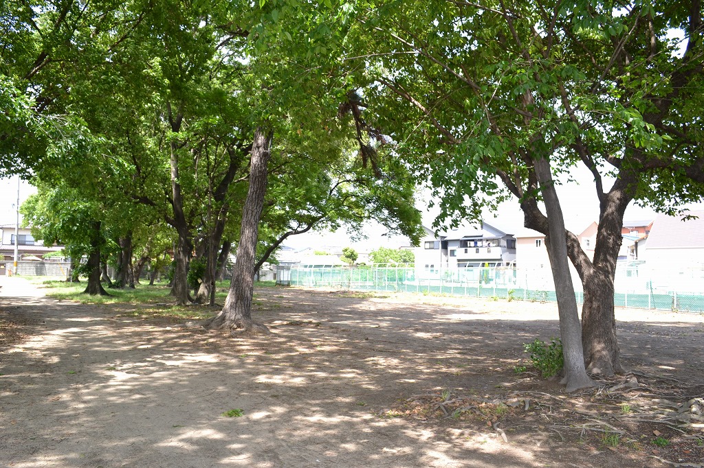 park. No. 2 green 800m adjacent square of Hamadera central nursery to Square. Since the exuberant lush green, It could spin came in with a rest in the shade of a tree, even in the hot summer sun. Try to stop by any time on the way back of the pick-up
