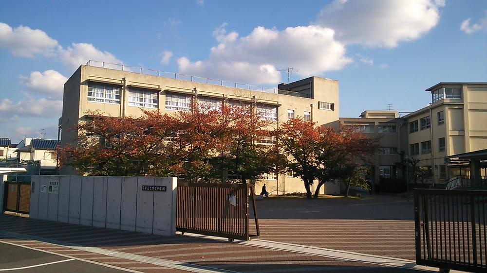 Junior high school. Sakaishiritsu Uenoshiba until junior high school 673m