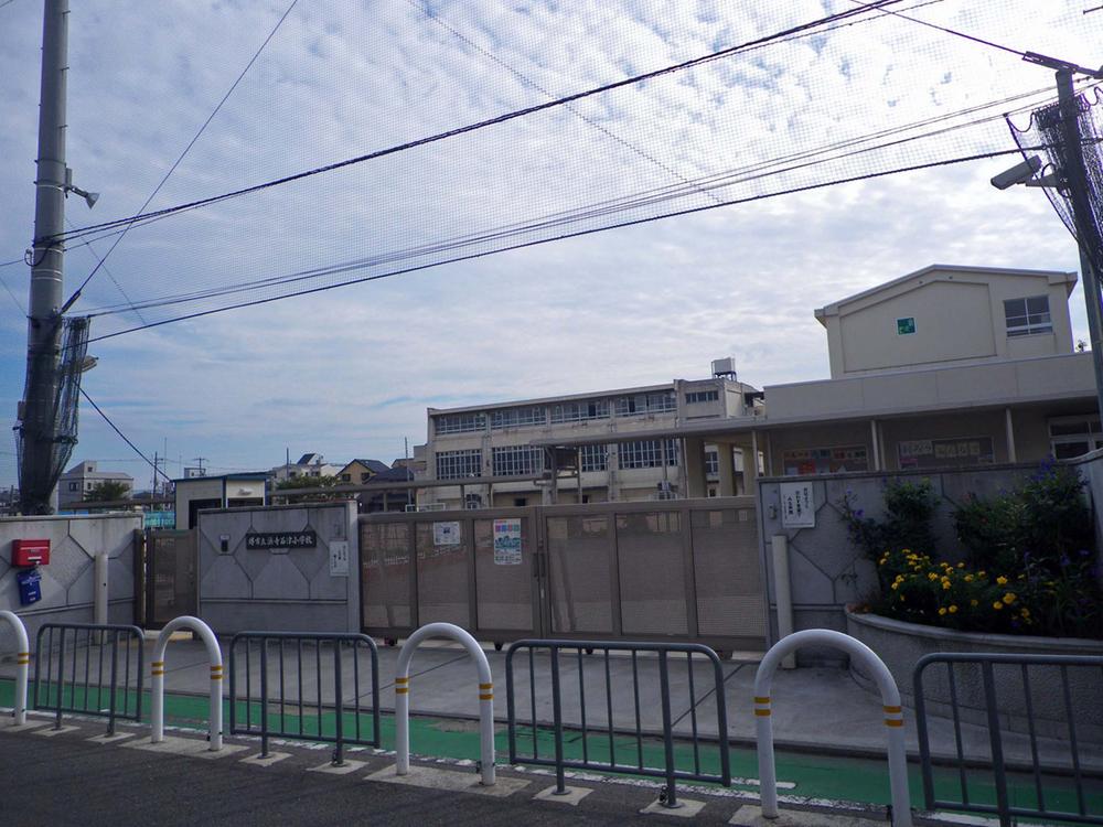 Primary school. Sakaishiritsu Hamaderaishizu until elementary school 524m