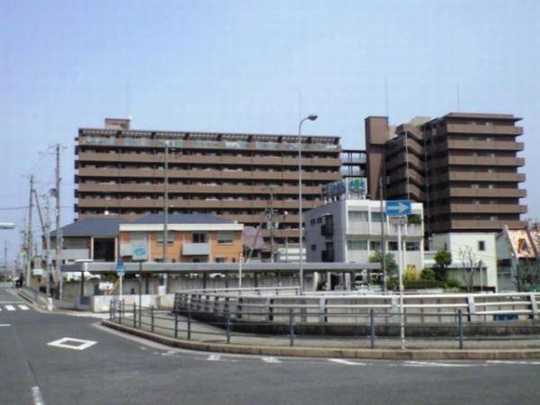 Local appearance photo. Appearance 1