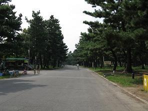 park. Hamaderakoen is chosen in Japan the name of pine 100 best white sand and green pine trees spreads, Opening the historic park as 1873 Japan's oldest national park