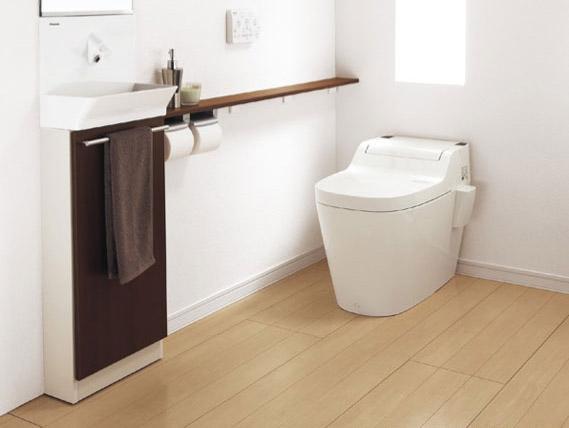 Toilet. Hand wash counter with toilet (our deluxe specification)