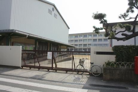 Primary school. Municipal Feng until elementary school 560m