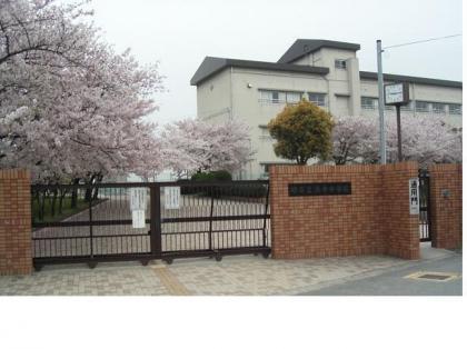 Junior high school. Sakaishiritsu Hamadera until junior high school 446m