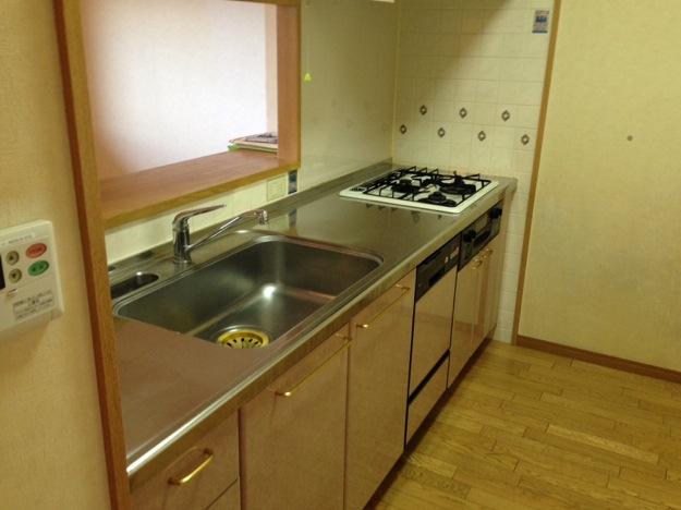 Kitchen. Indoor (12 May 2013) Shooting