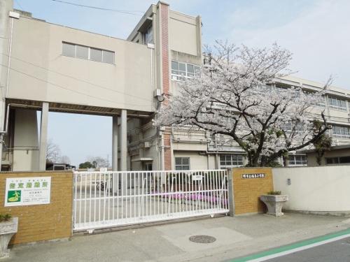 Primary school. Sakaishiritsu Fukusen until elementary school 824m