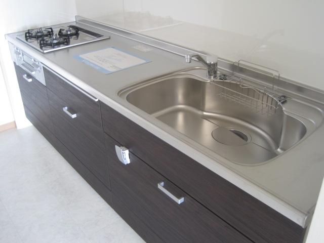 Kitchen. Indoor (August 2, 0130 years) shooting