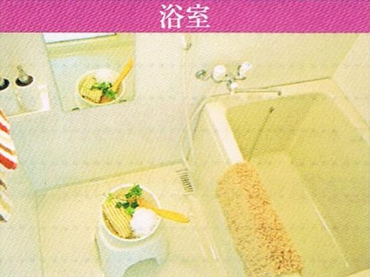 Bathroom. Indoor (July 2013) Shooting