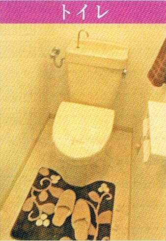 Toilet. Indoor (July 2013) Shooting