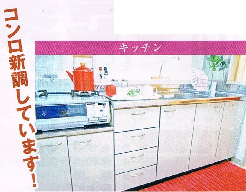 Kitchen. Indoor (July 2013) Shooting