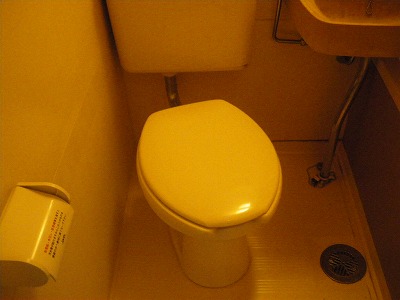 Toilet. Toilet