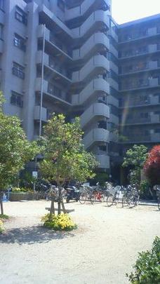 Local appearance photo. Appearance (1)