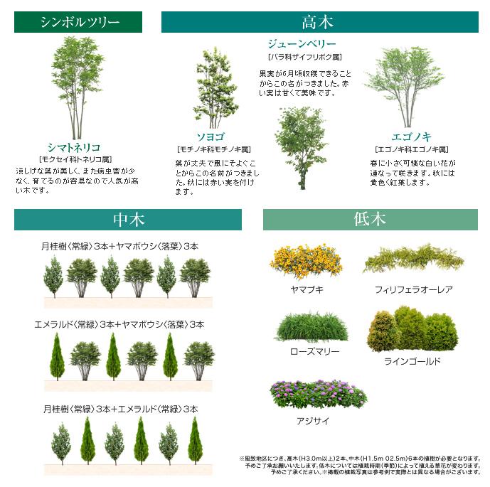 Other. One for each residence, In addition to planting the "Fraxinus griffithii", which is the symbol tree, evergreen ・ Offer a rich planting a combination of deciduous trees. Tall tree ・ Nakaki ・ Since the shrub a can select your choice, To achieve a living with a lush beautiful garden. 