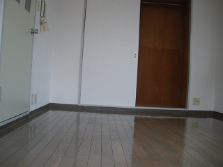 Living and room. Western-style (flooring)